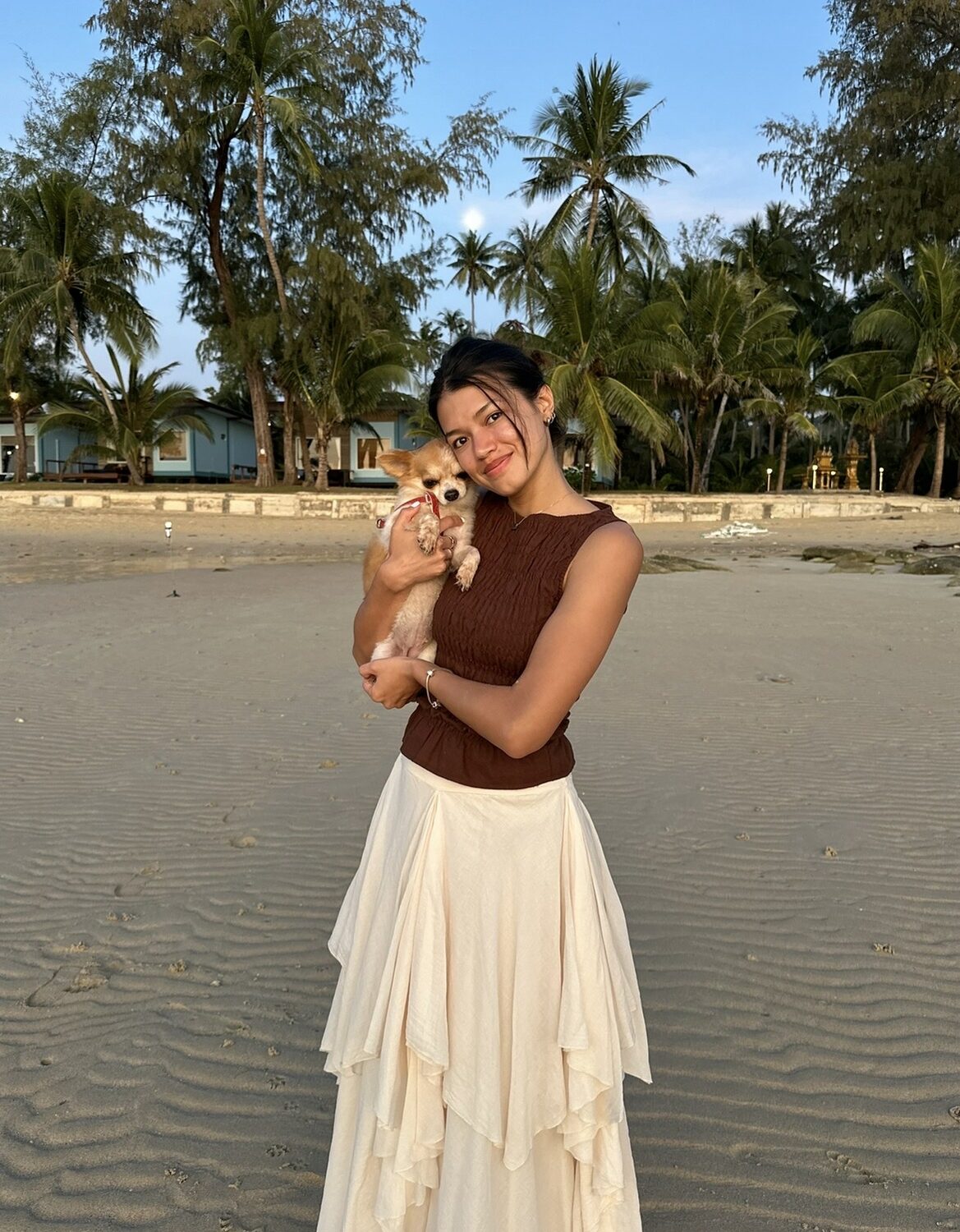 Araya lifestyle content preview